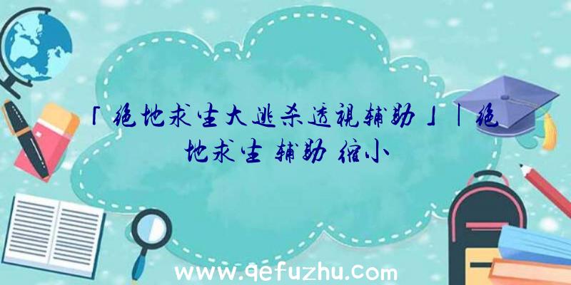 「绝地求生大逃杀透视辅助」|绝地求生